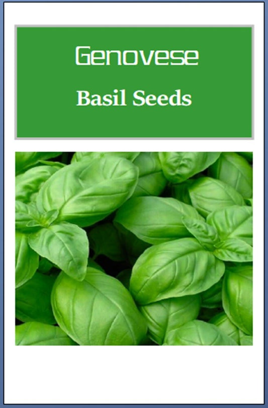 Premium Non-GMO Genovese Basil Seeds | Fresh Heirloom Garden Starter Pack