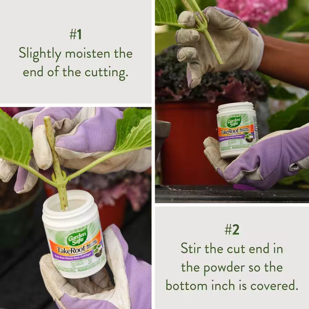 2 Oz. Take Root Rooting Hormone