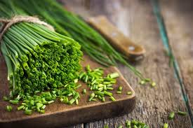 Garlic Chives Seeds | NON-GMO Chives Seeds | Fresh Heirloom Garden Seeds