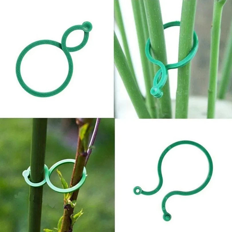 Garden Clips Trellis for Upright Growth of Vines and Vegetables - Available in 50 or 100 Pieces, Ideal for Tomato Plant Support and Accessories