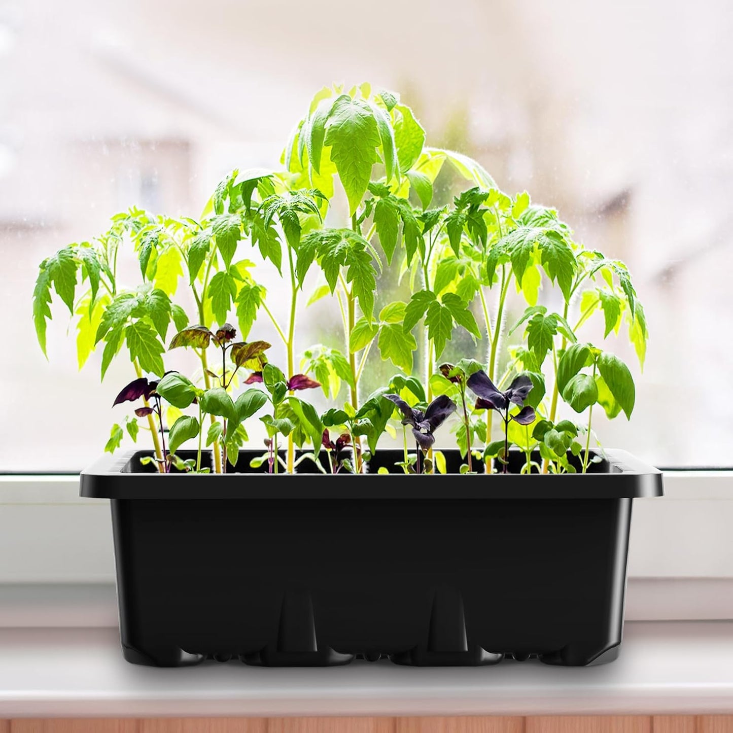 10 Packs Seed Starter Tray Seed Starter Kit with Humidity Dome (120 Cells Total Tray)