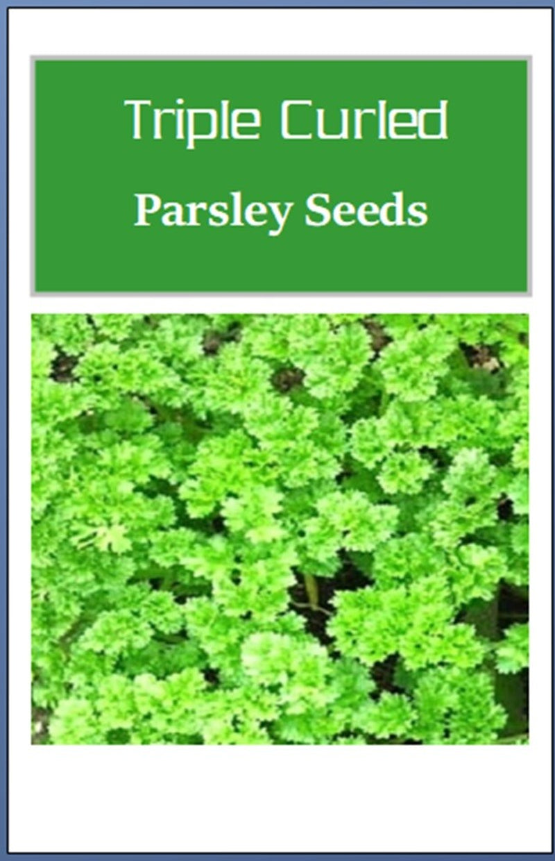 Triple Curled Parsley Seeds | Heirloom Parsley Seeds | NON-GMO Garden Seeds