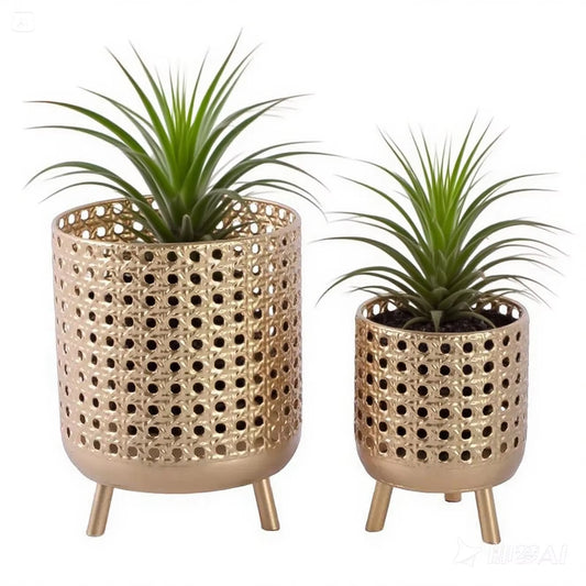 Eco-Friendly Indoor Outdoor Decorative Planter
