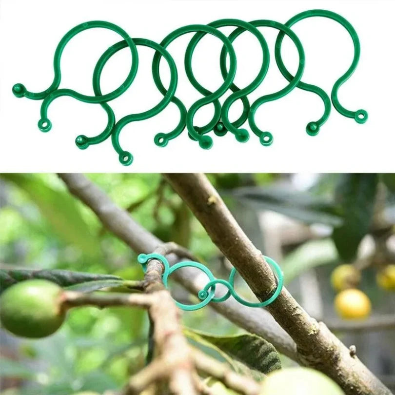 Garden Clips Trellis for Upright Growth of Vines and Vegetables - Available in 50 or 100 Pieces, Ideal for Tomato Plant Support and Accessories