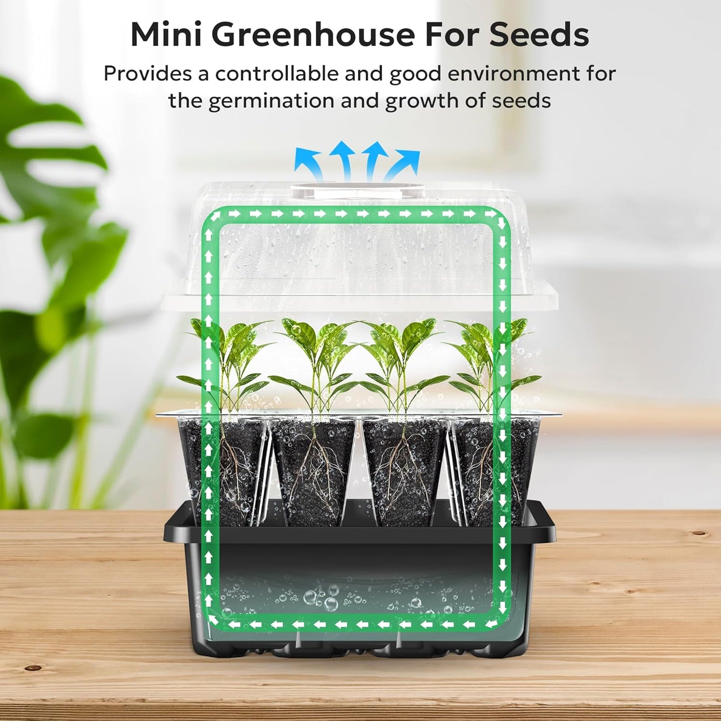 10 Packs Seed Starter Tray Seed Starter Kit with Humidity Dome (120 Cells Total Tray)