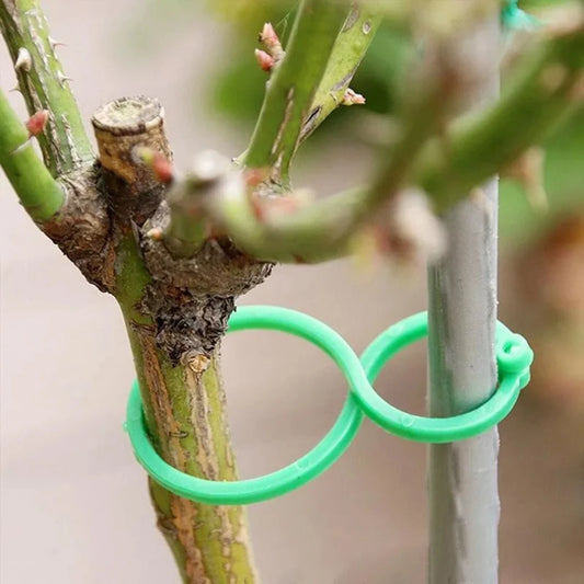 Garden Clips Trellis for Upright Growth of Vines and Vegetables - Available in 50 or 100 Pieces, Ideal for Tomato Plant Support and Accessories