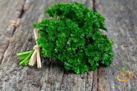 Triple Curled Parsley Seeds | Heirloom Parsley Seeds | NON-GMO Garden Seeds